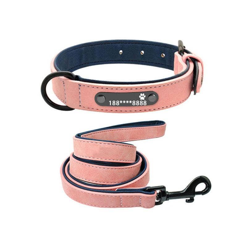 Personalized Leather Dog Collar with Anti-Lost Lettering for Dogs of All Sizes: Pink Plus 1.2 Traction Rope / S