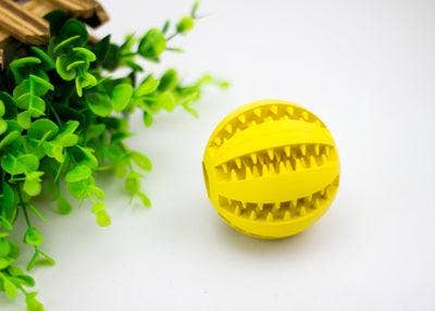 Minty Munch-N-Play Rubber Feeding Ball: 7Cm Green
