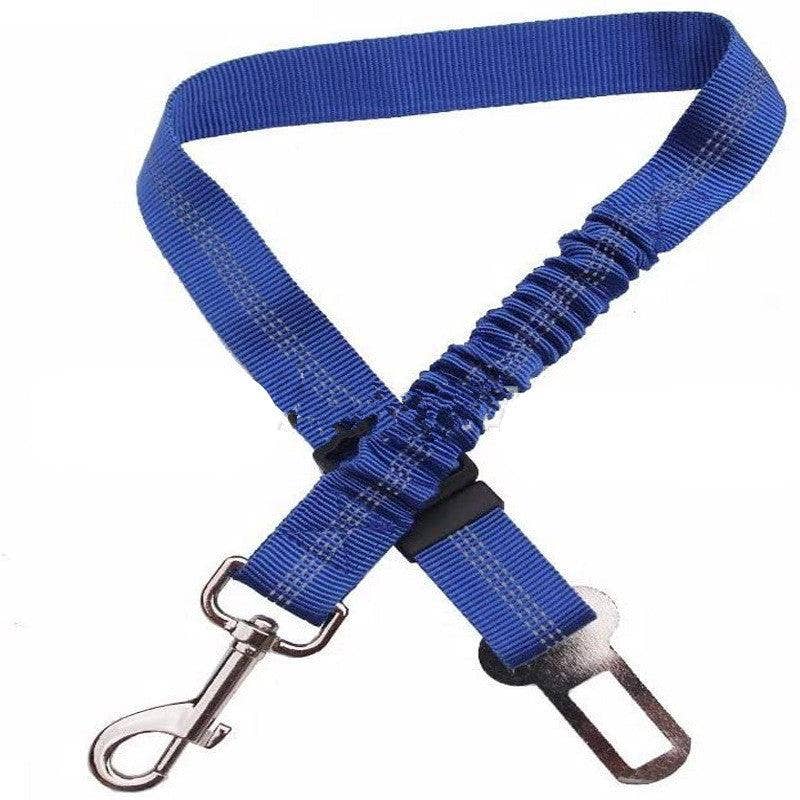 PetSafe Car Safety Harness and Towing Rope: Blue