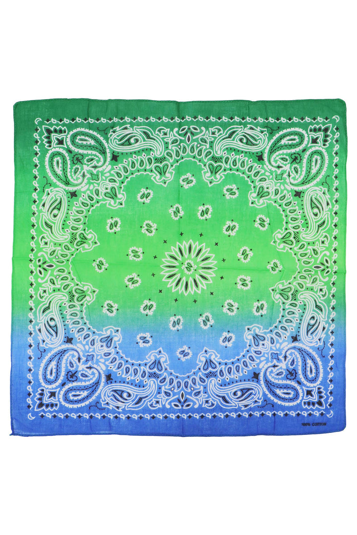 Paisley Vibrant Ombre Gradient Cotton Bandana: AS SHOWN / ONE SIZE