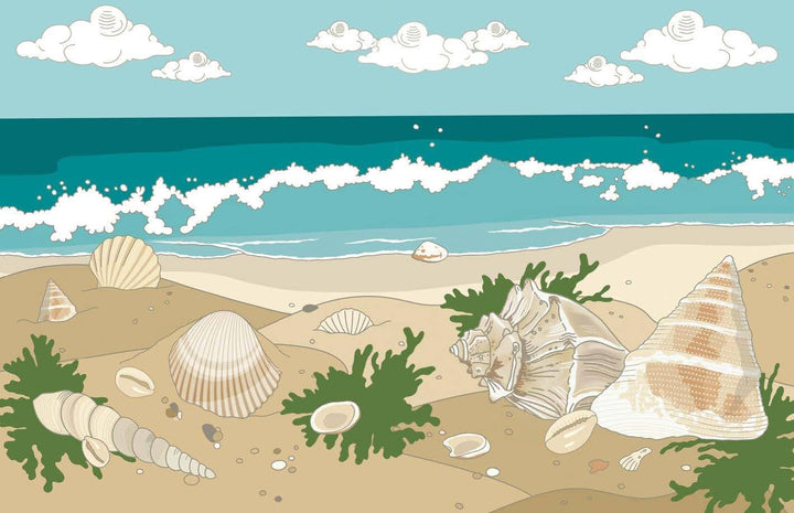 Shells