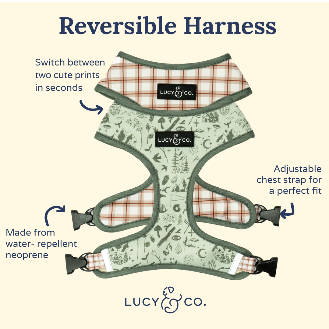 Camp Out Reversible Harness: L