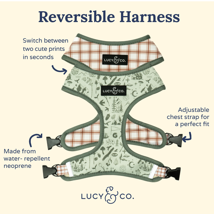 Camp Out Reversible Harness: L