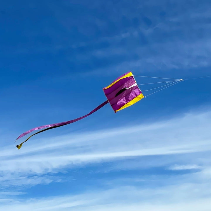Pocket Parafoil Kite Classic Toy