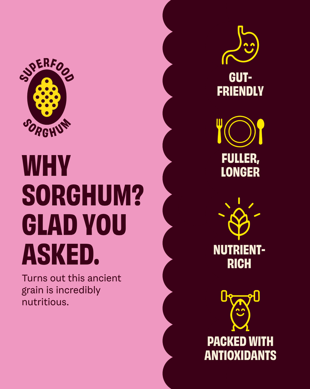 Olive Oil Pink Salt: Sorghum Popcorn snack pack 1oz