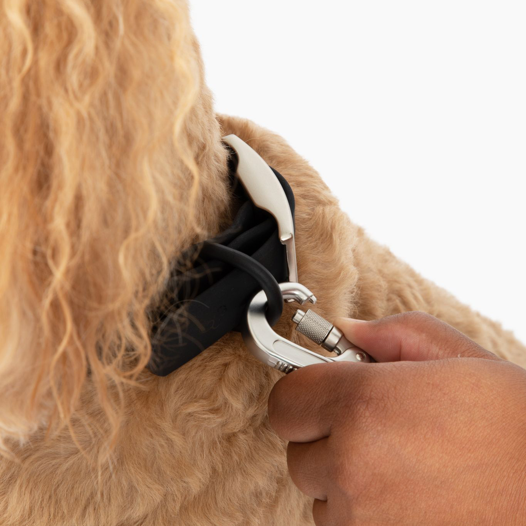 Midnight Waterproof PVC Collar: Small