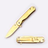 Snake Eye Tactical Ti-Coated Spring Assist Knife