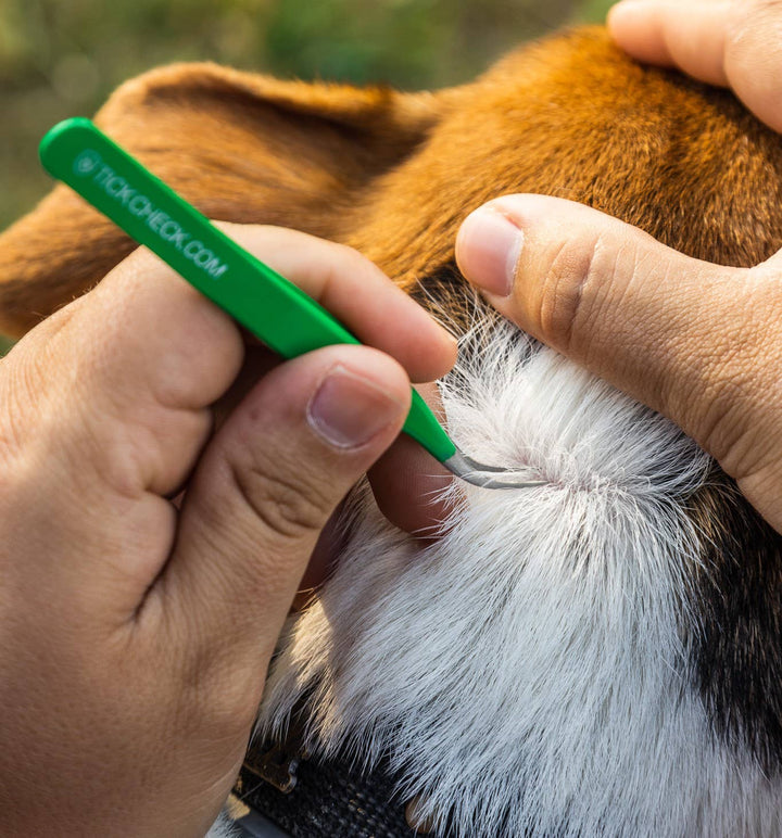 Premium Tick Remover Kit