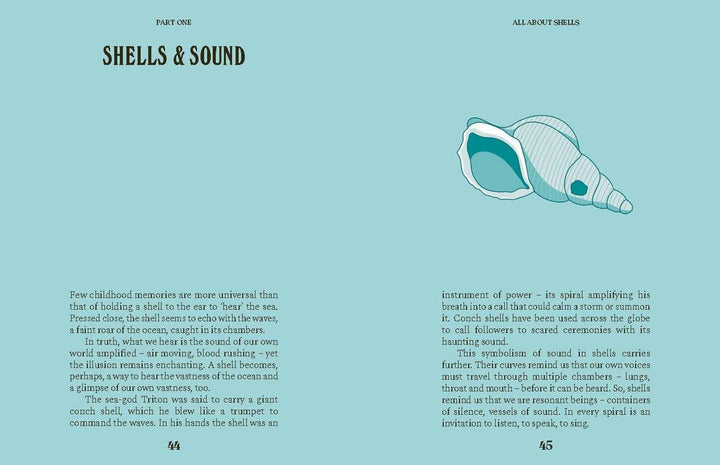 Shells