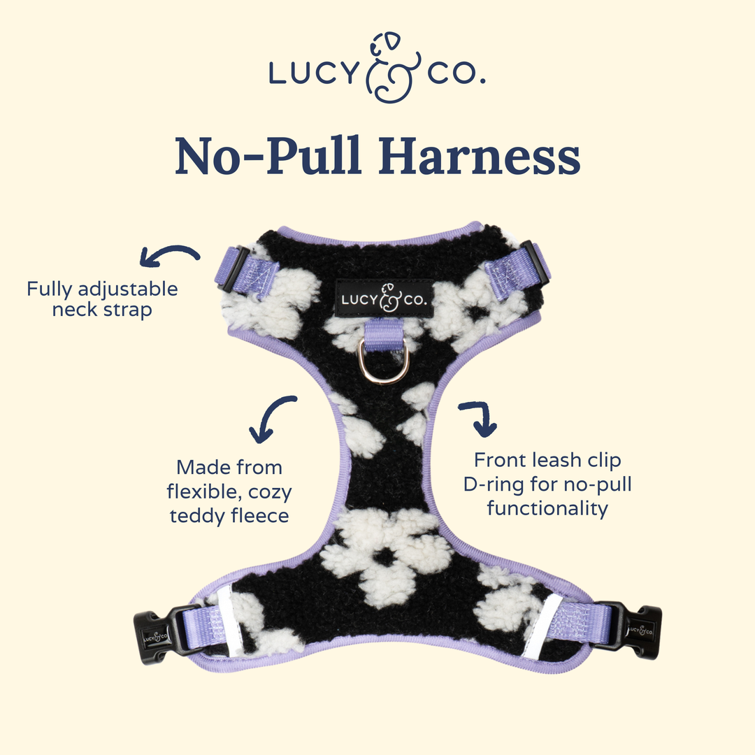 Far Out No-Pull Harness: L