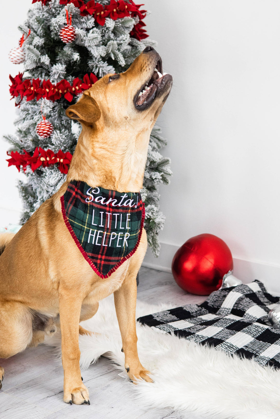 Pearhead "Santa's Little Helper" Bandana