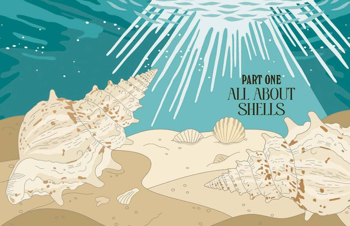 Shells