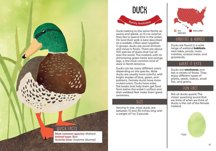 Kid's Guide to Backyard Animals