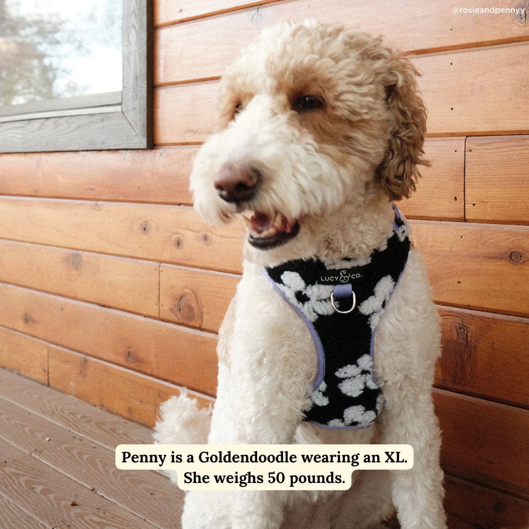 Far Out No-Pull Harness: M