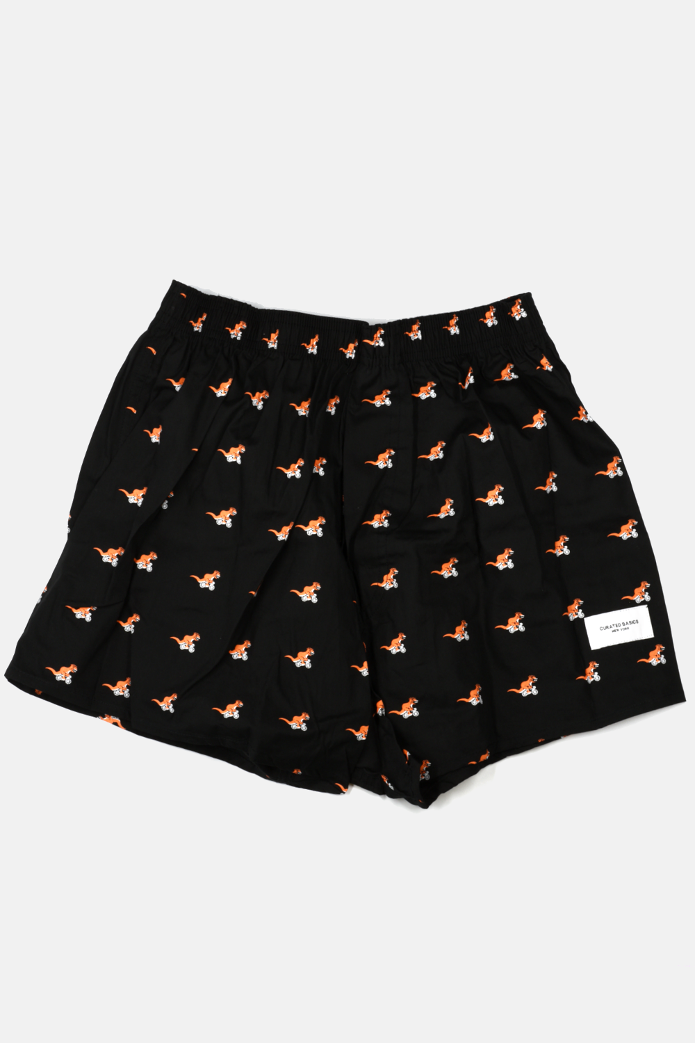 T-Rex on a Bike Boxer Shorts: L