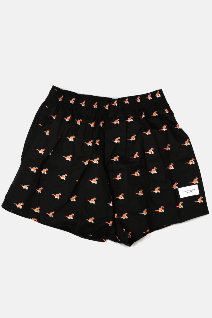 T-Rex on a Bike Boxer Shorts: L