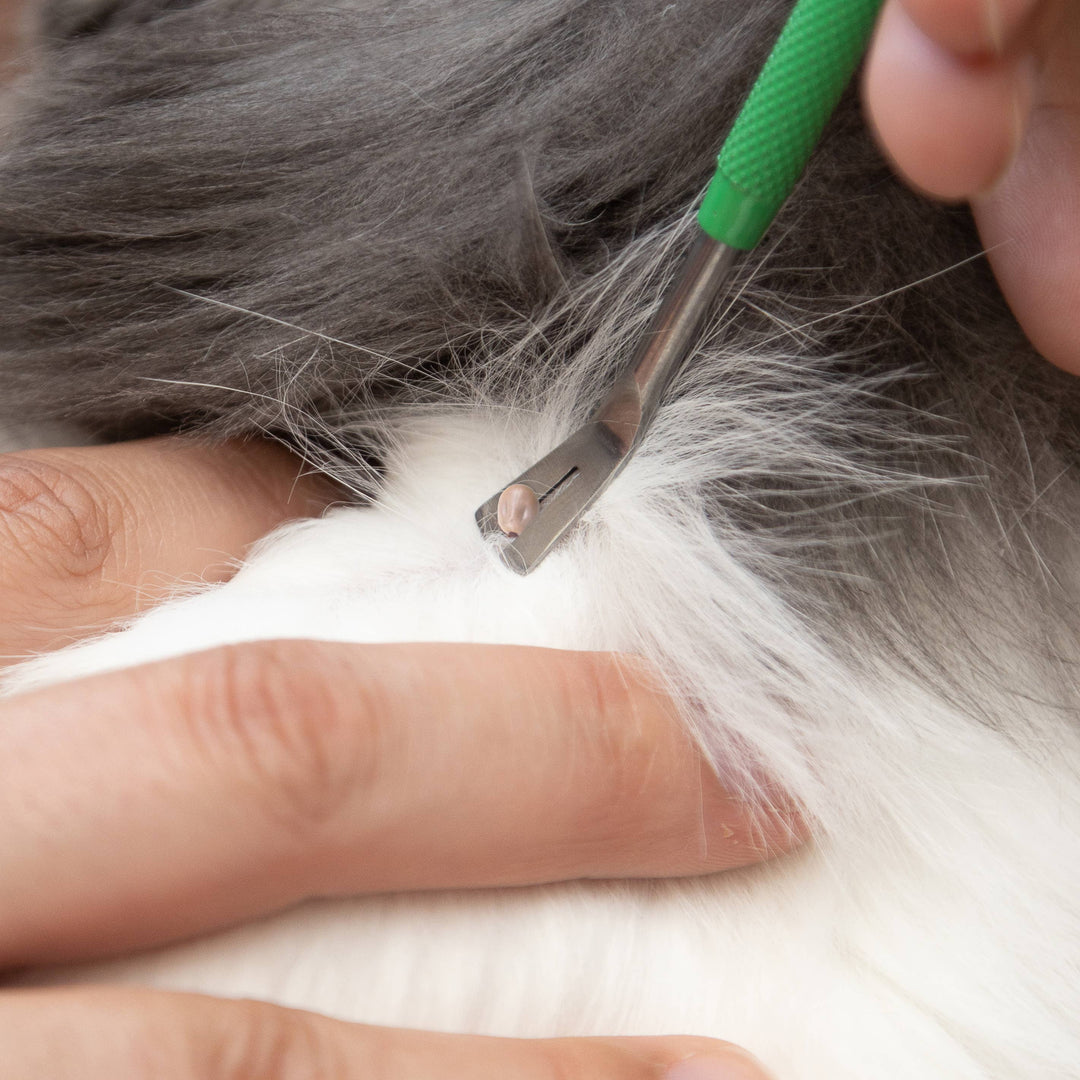 Premium Tick Remover Kit