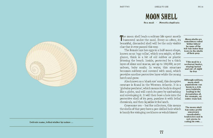 Shells