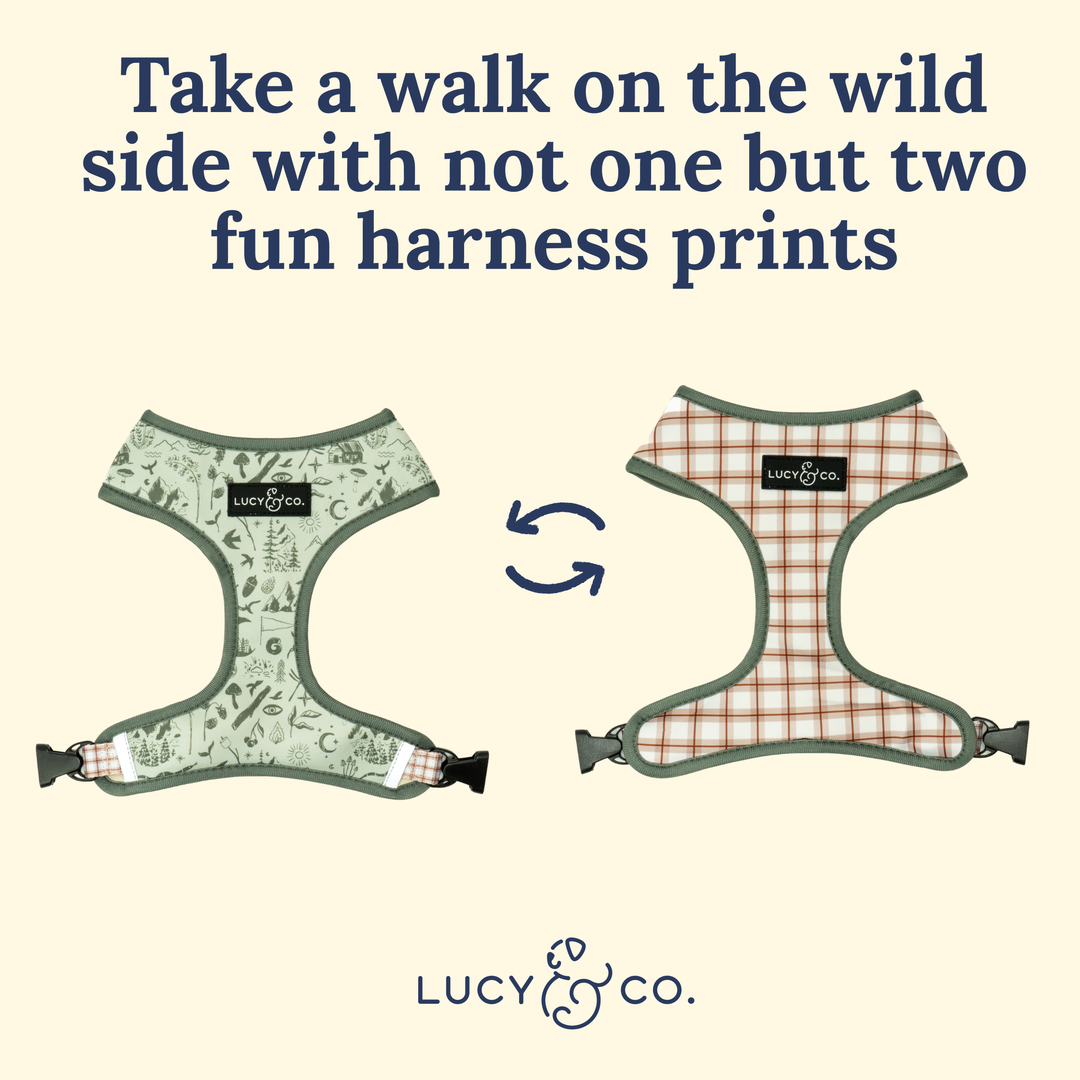 Camp Out Reversible Harness: M