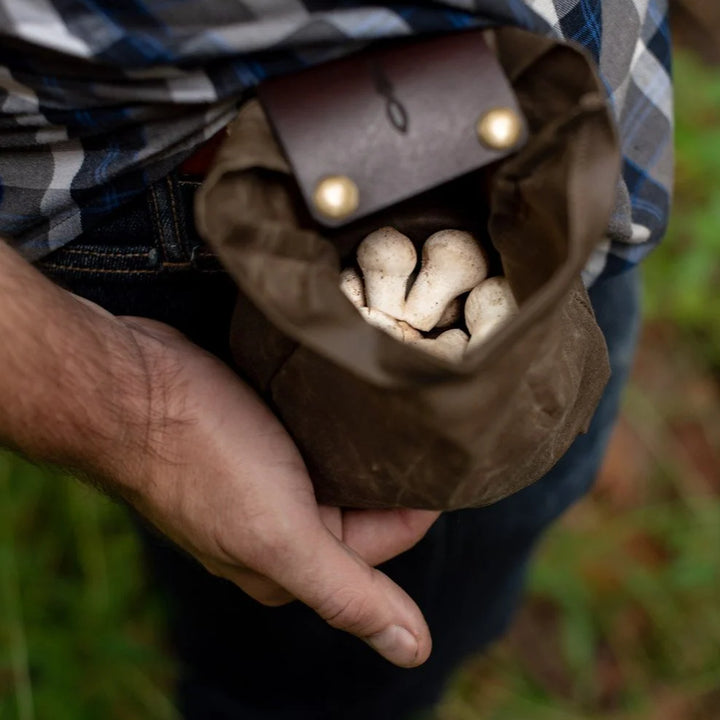 Collapsible Foraging Bag