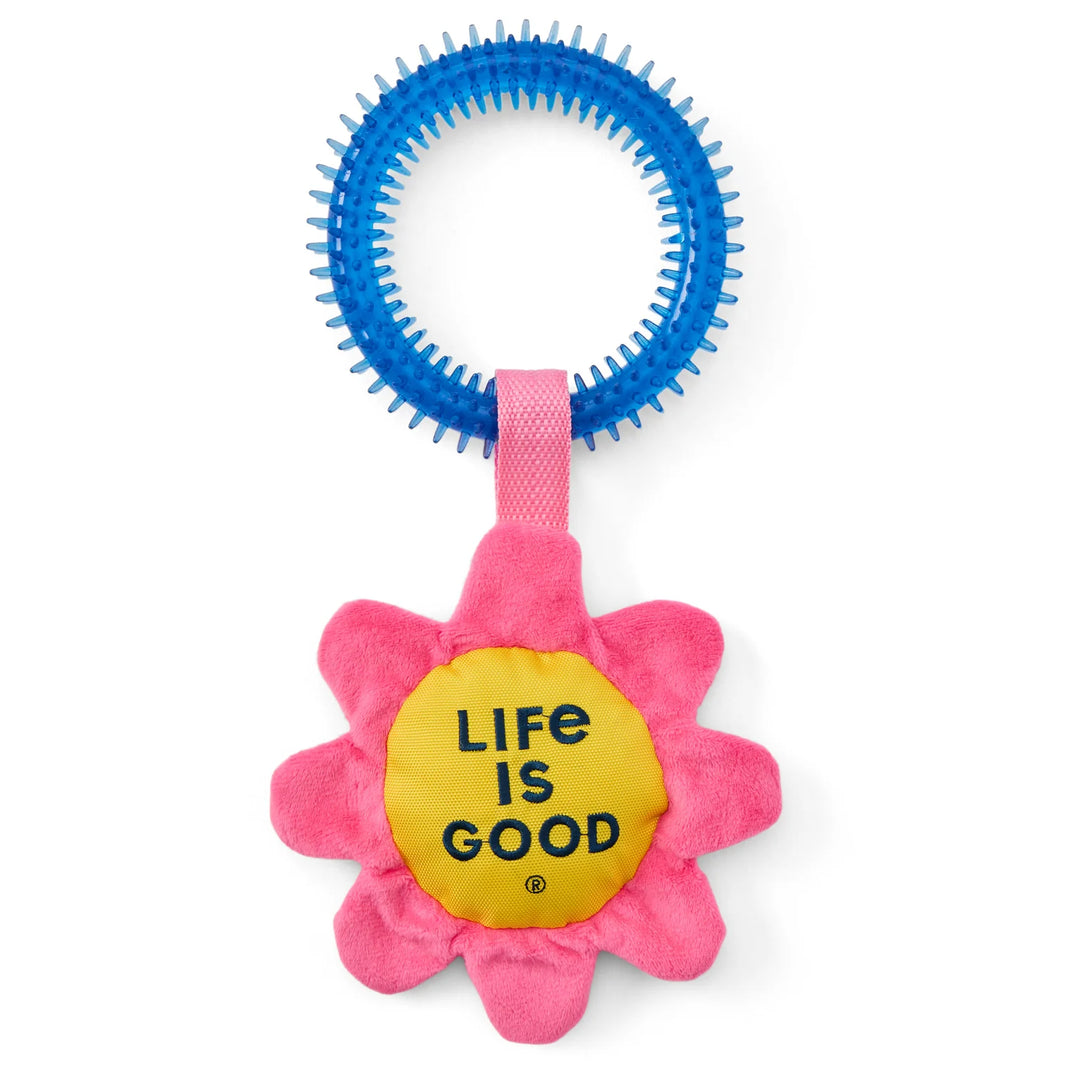 Oxford and Spike Ring Dog Toy Daisy
