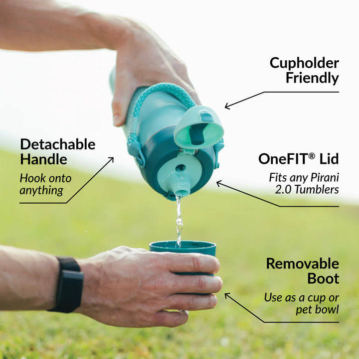 32oz Companion Insulated Water Bottle, Paradise Blue