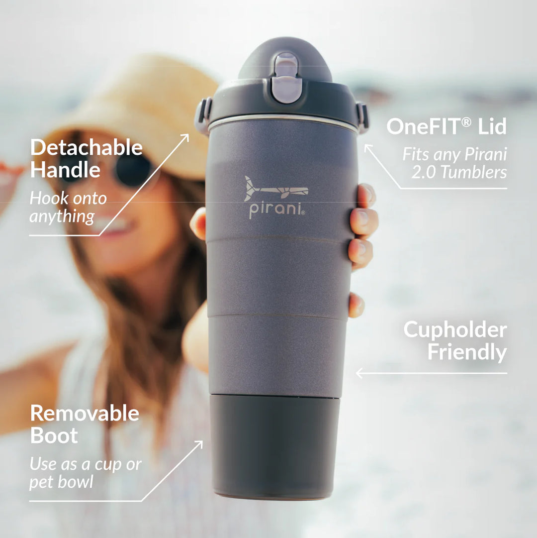 32oz Companion Insulated Water Bottle, Slate