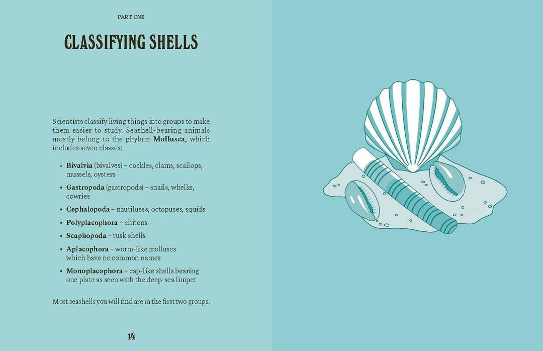 Shells
