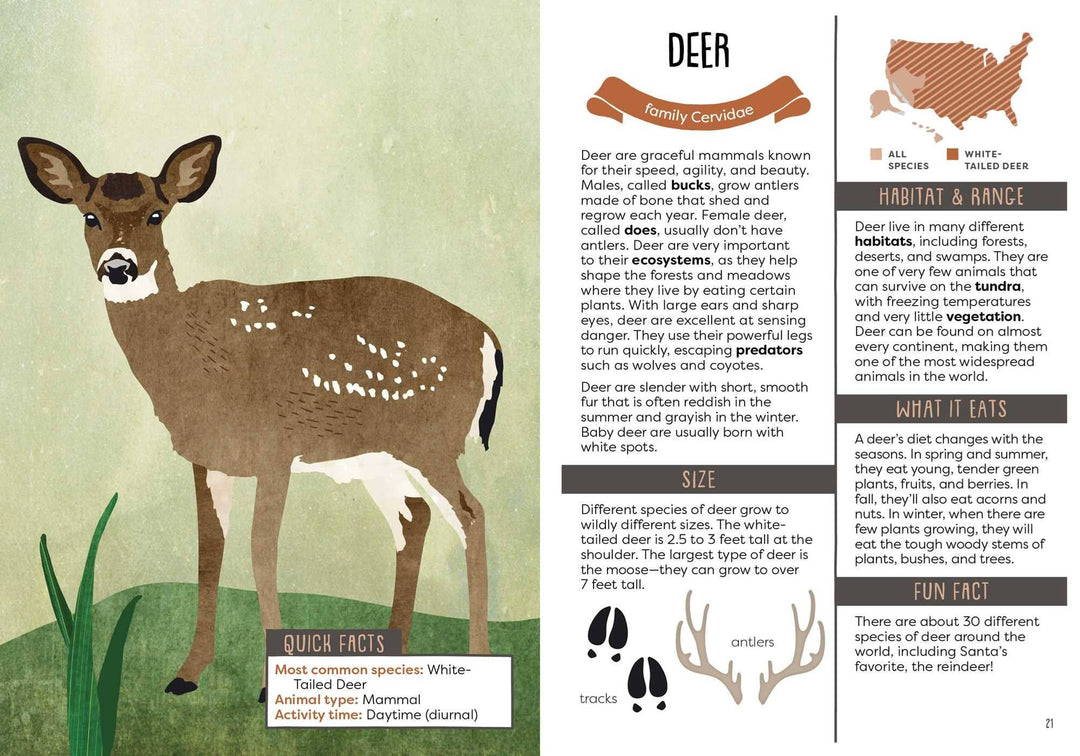 Kid's Guide to Backyard Animals