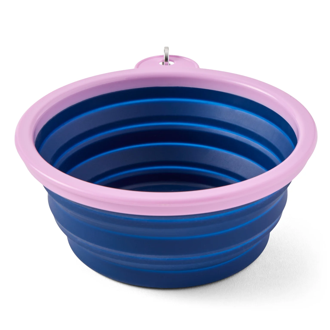 Daisy Circle Psychedelic Silicone Travel Dog Bowl