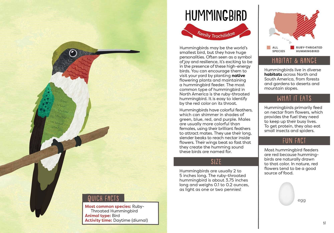 Kid's Guide to Backyard Animals