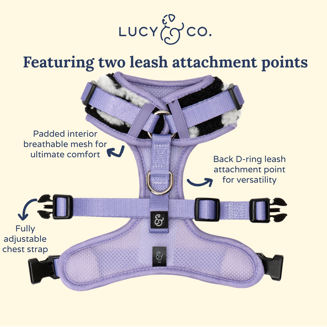 Far Out No-Pull Harness: XL